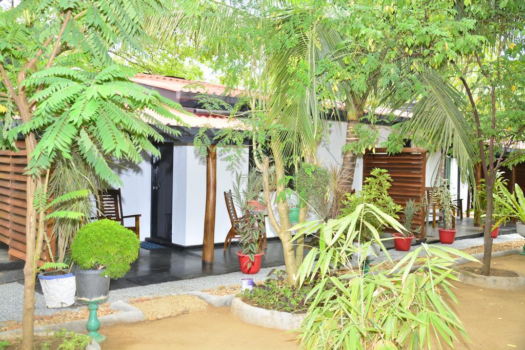 Livinginn Polonnaruwa Exterior foto