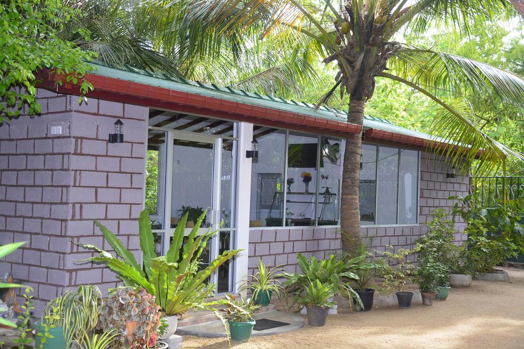 Livinginn Polonnaruwa Exterior foto